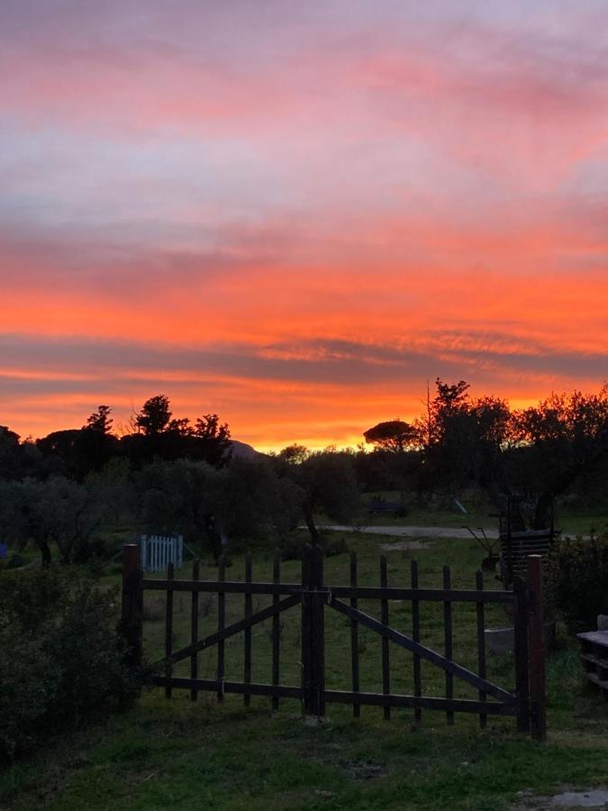 Agriturismo Is Conchisceddas Gonnosfanàdiga Exteriér fotografie