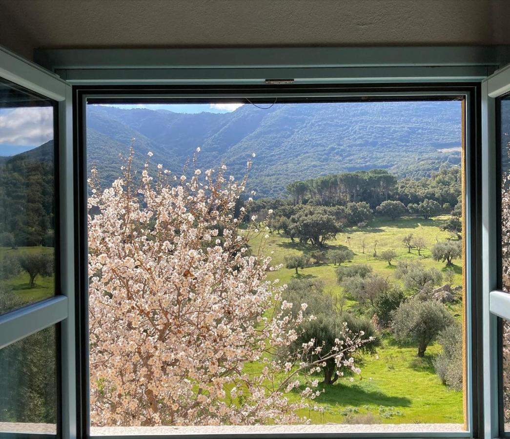 Agriturismo Is Conchisceddas Gonnosfanàdiga Exteriér fotografie