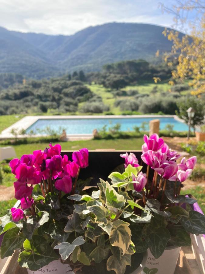Agriturismo Is Conchisceddas Gonnosfanàdiga Exteriér fotografie