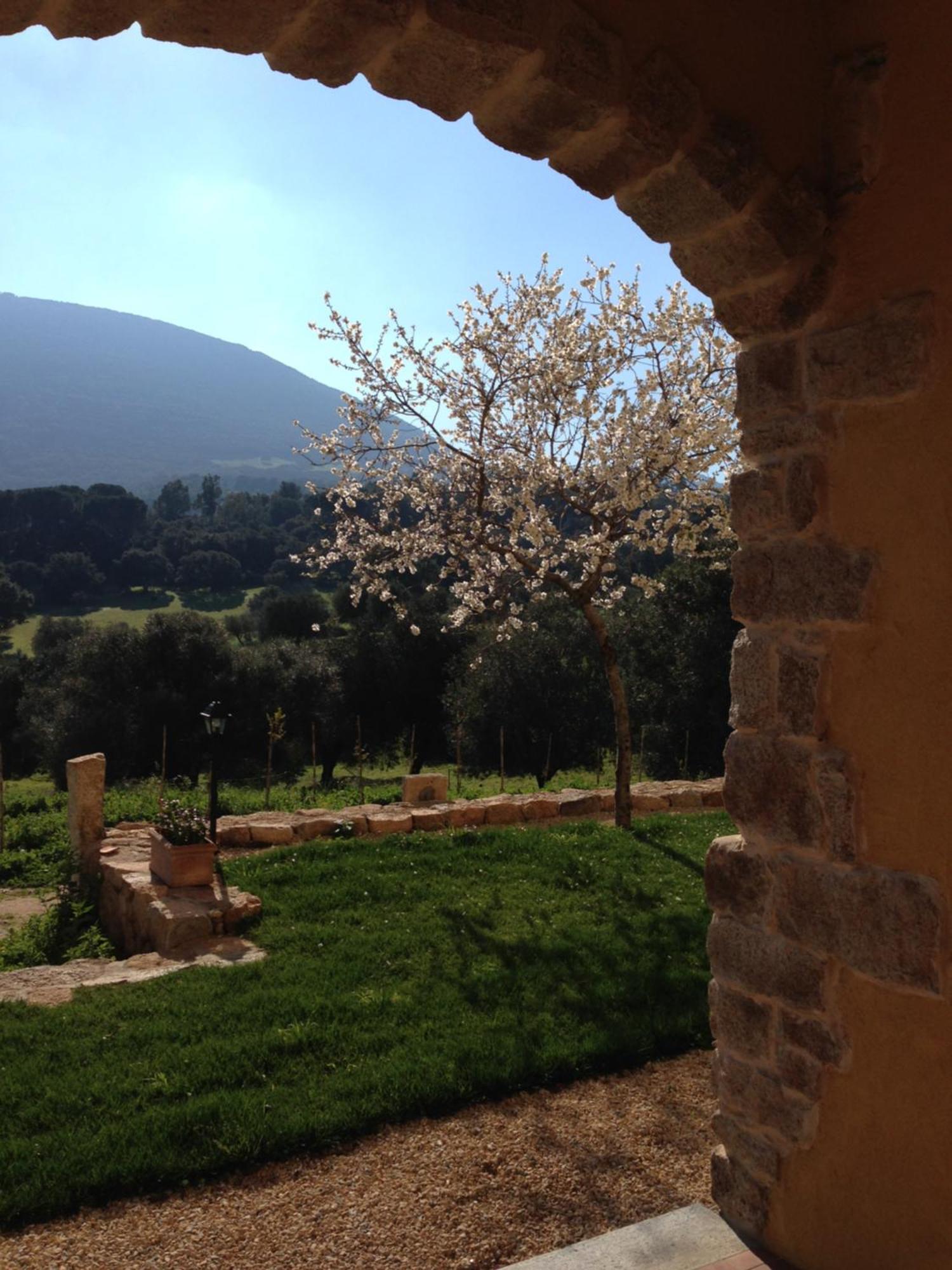 Agriturismo Is Conchisceddas Gonnosfanàdiga Exteriér fotografie