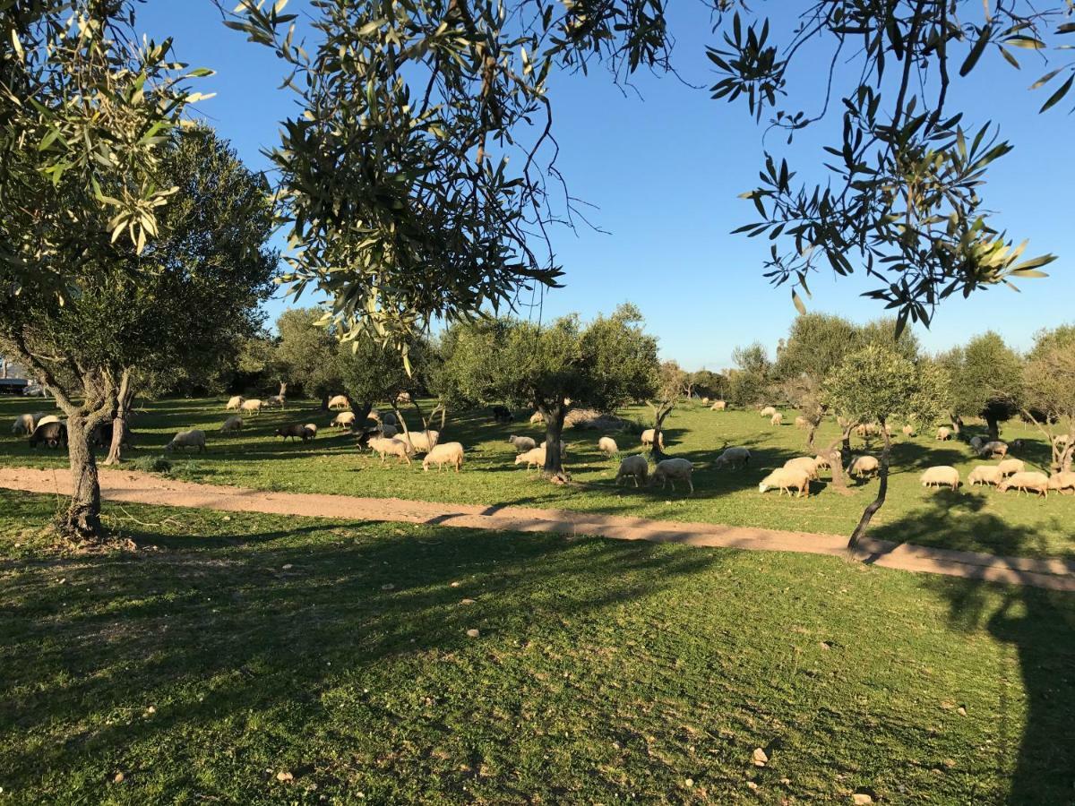 Agriturismo Is Conchisceddas Gonnosfanàdiga Exteriér fotografie
